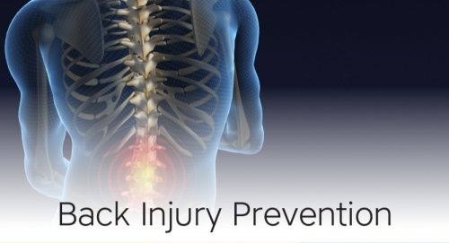 Back Injury Prevention Tips from Accident Fund - SBAM | Small Business ...