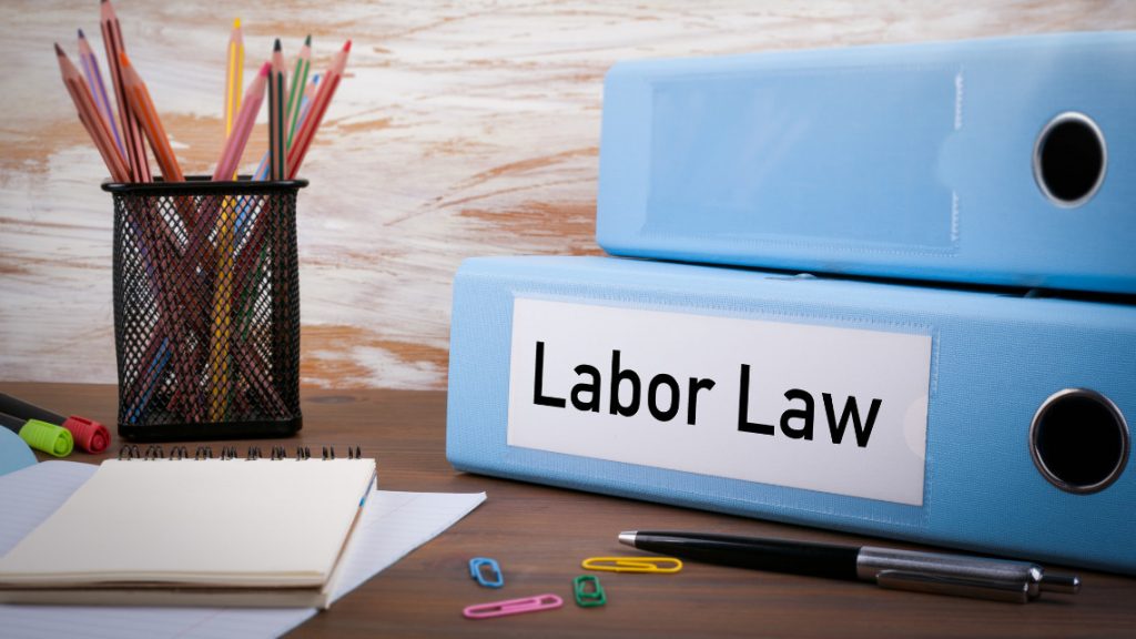 Placeholder image of a binder with the words 'labor law' on it